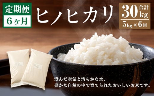 【6ヶ月定期便】 大分県産 ヒノヒカリ 5kg 計30kg 【2025年11月上旬発送開始】