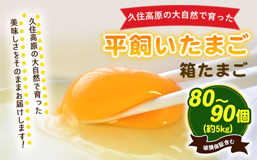 久住高原　平飼いたまご 箱たまご5kg 80~90個入 ※破損保証5個含む