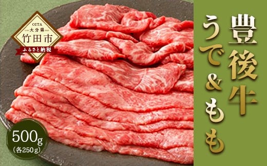 大分県竹田市産 おおいた和牛 うで・もも すき焼き用 【500g】