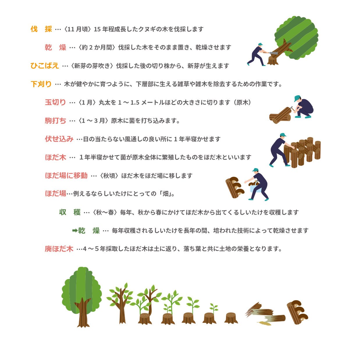 FHS18 山の宝石 佃煮 4箱セット 4種 計約420g