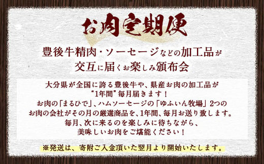 【お肉定期便 12回】おおいた豊後牛と大分県産肉加工品の頒布会 1年