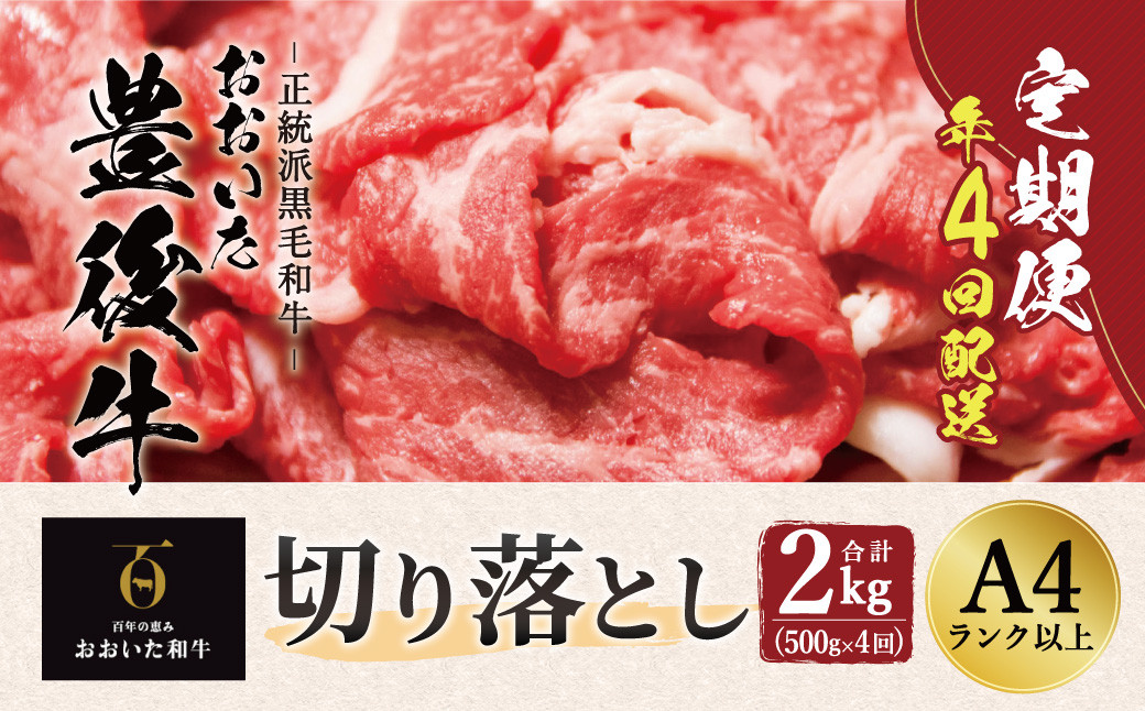 【定期便】おおいた豊後牛 切り落とし 500g×4ヶ月 計2kg