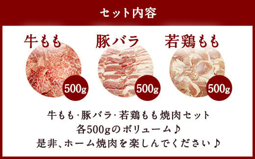 牛&豚&鶏 ミックス よくばり 焼肉 セット 各500g 計1.5kg