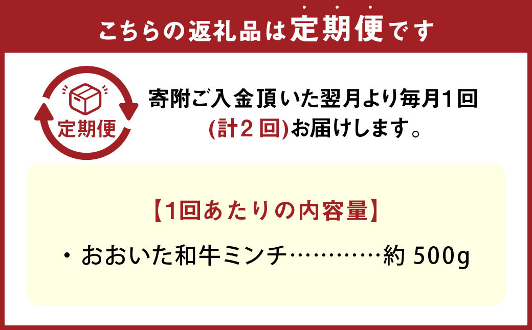 【2カ月定期便】 おおいた和牛 ミンチ 約500g 計約1kg