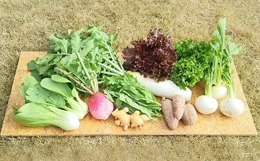 栽培期間中農薬不使用・有機肥料で育てた 季節の野菜セット 約4〜8kg