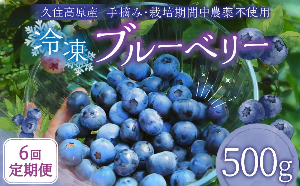 【6回 定期便】久住高原 冷凍 ブルーベリー 500g 計3kg 栽培期間中農薬不使用 手摘み