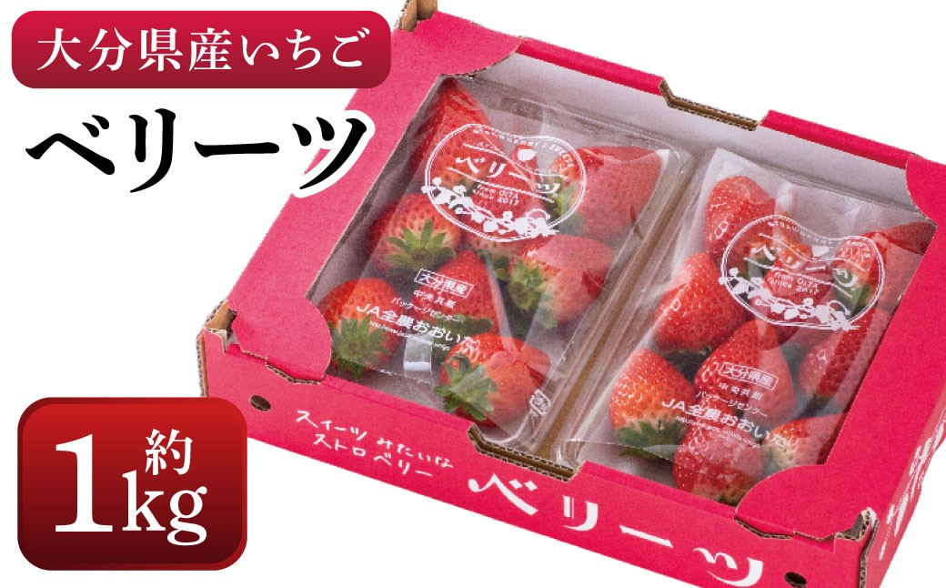化粧箱入り ベリーツ 約1kg【2026年2月下旬-3月下旬発送】