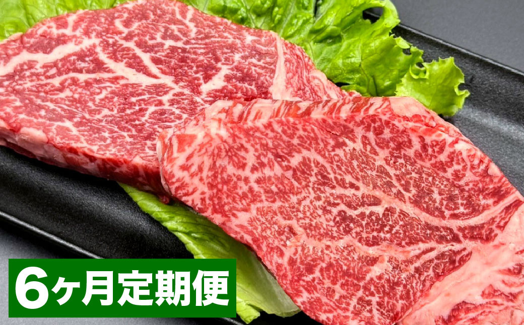 【6カ月定期便】 おおいた和牛 ヒレステーキ 約200g（約100g×2） ステーキソース付き 計約1.2kg