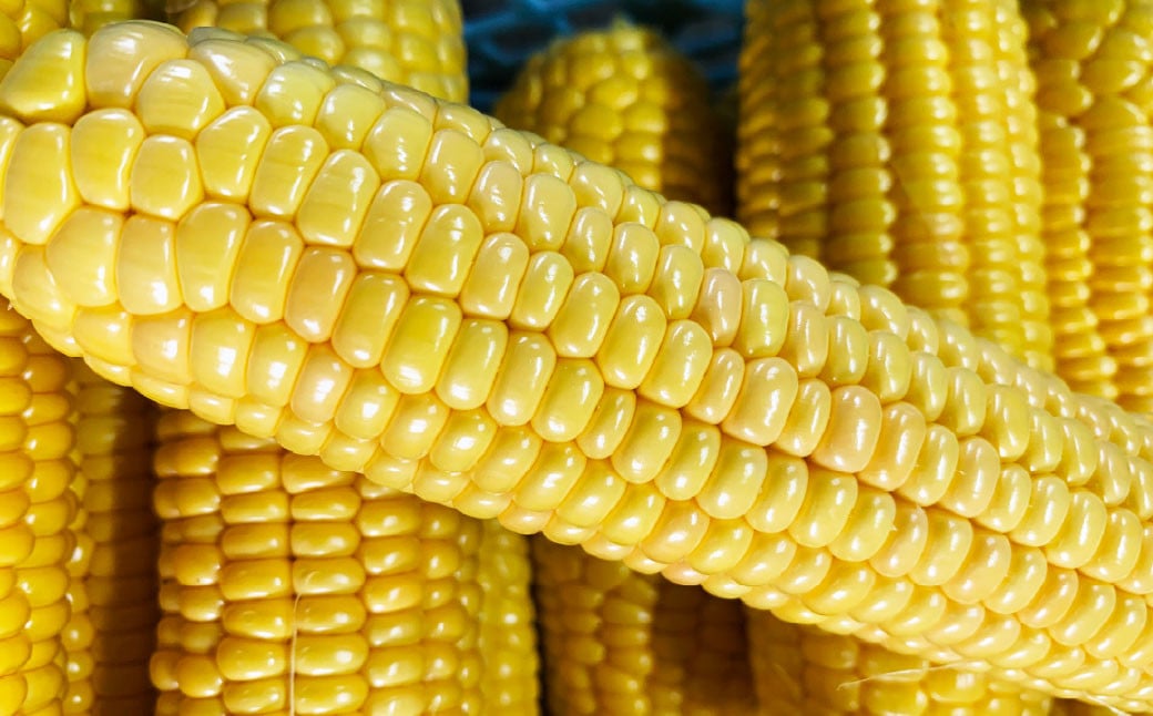 ææ¡ããšããããã æµå³ãŽãŒã«ã 10æ¬å
¥ã ã2026幎7æäžæ¬ïœ8æäžæ¬çºéäºå®ã