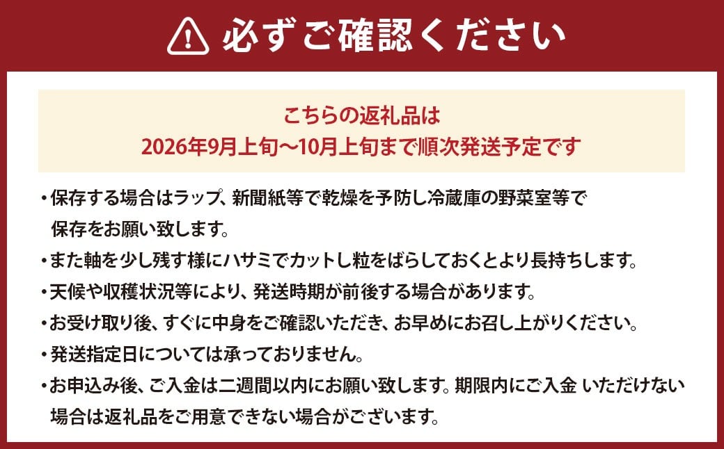九州アルプスで育ち竹田市名水で実を付けた シャインマスカット 2房  （ 約300 ～ 約450g × 2房 ）【2026年9月上旬～10月上旬まで順次発送予定】