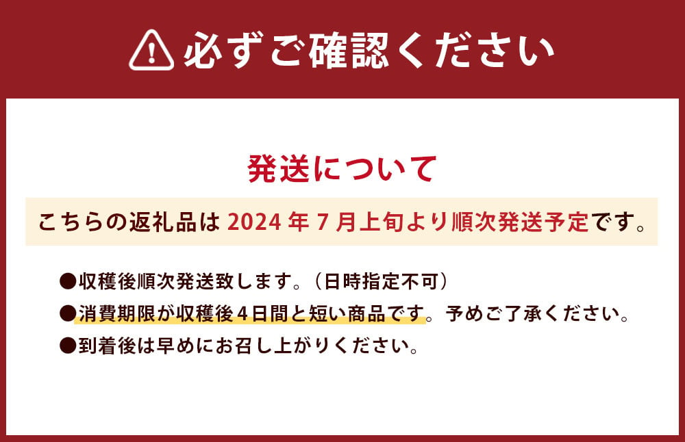 【2024年7月上旬発送開始】竹田市産  とうもろこし  10本 スイートコーン 野菜