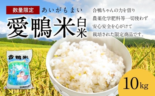 〈令和6年産〉愛鴨米 白米 10kg【2024年10月上旬～2025年10月上旬発送予定】