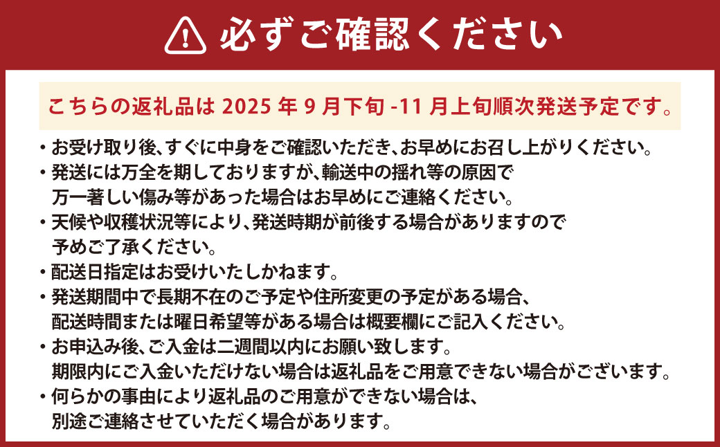 【2025年度分先行予約】【数量限定】規格外 訳あり シャインマスカット 約1kg 2～4房【2025年9月下旬～11月上旬発送開始予定】