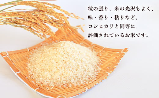 【令和6年産】大分県産ひとめぼれ 10kg 5kg×2