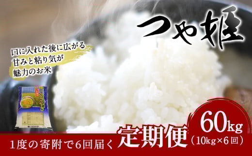 【6ヶ月定期便】 大分県産 つや姫 10kg×6回 計60kg