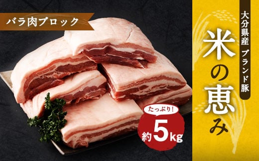 大分県産ブランド豚 奥豊後豚（米の恵み） バラ肉ブロック 5kg (2.5kg×2) 豚バラ 豚肉