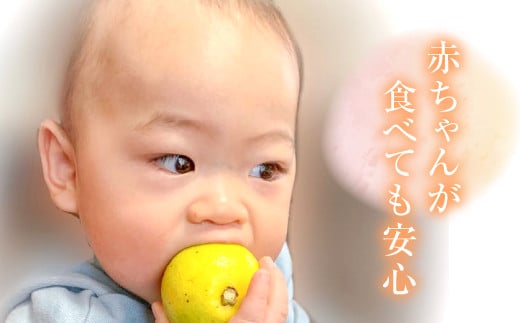 倧åçç£ ææ©ããŒãææ±100% ïŒ»éæ³ã®éŠã 180ml 12æ¬ã»ãã