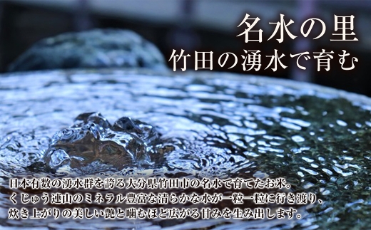 【 人気の2銘柄を食べ比べ！ 】 厳選国産米 2種セット 【 コシヒカリ × つや姫 】 （ 各5kg 計10kg ）