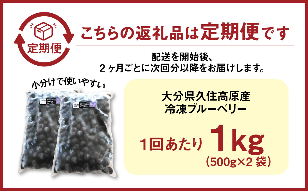 【2ヶ月毎5回 定期便】久住高原 手摘みブルーベリー 冷凍 500g 2袋 計5kg 小分け 栽培期間中農薬不使用 【2025年7月下旬より順次発送開始予定】