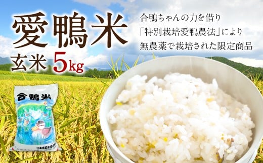 愛鴨米 玄米 5kg 米 コメ