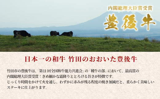 【定期便3回】日本一の和牛 おおいた豊後牛 1ポンド エアーズロック極厚ステーキ 約454g×3回 計3ポンド（約1362g）