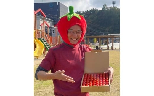 まごころ ミニトマト の宝石箱 1.7kg（約80～110玉）サンチェリーピュア トマト【2024年7月上旬から11月下旬まで発送予定】