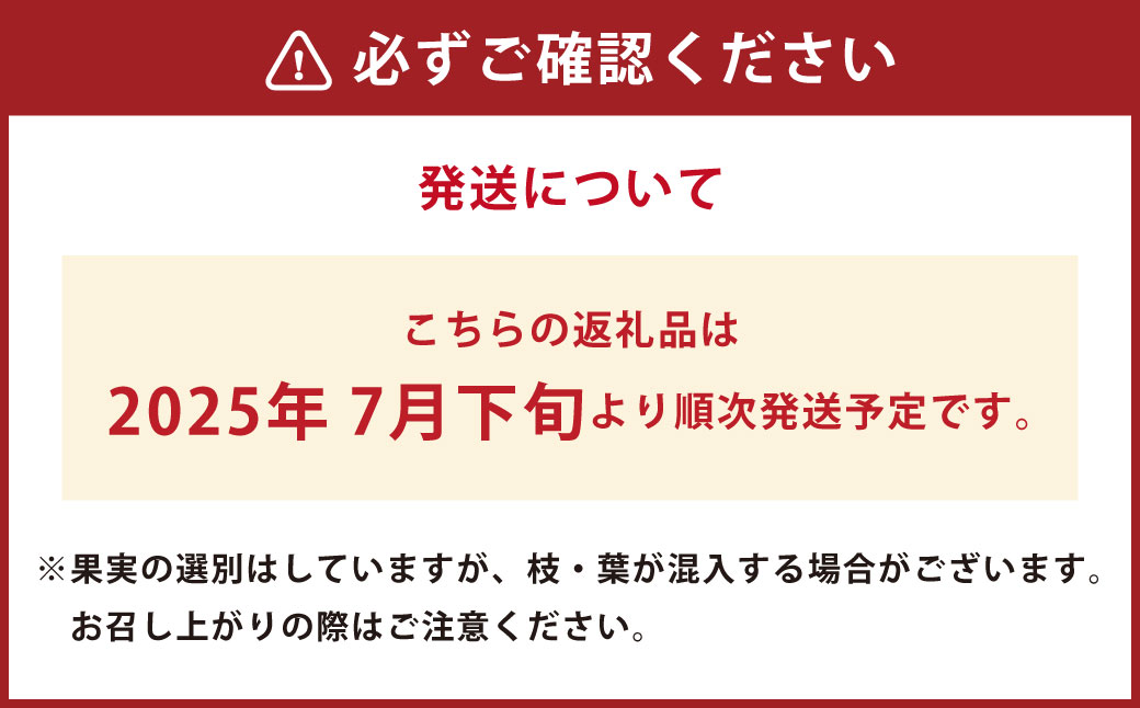 【2ヶ月毎4回 定期便】大分県久住高原産 『手摘みブルーベリー』 冷凍ブルーベリー 1kg 計4kg 【2025年7月下旬より順次発送開始予定】