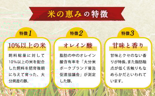 ã3åå®æäŸ¿ã倧åçç£ãã©ã³ãè±ãç±³ã®æµã¿ãå£ç¯ã®å®æäŸ¿ã»ãã èš4.8kgïŒ1ïœ2æã»5ïœ6æã»9ïœ10æïŒå®æäŸ¿ è±è