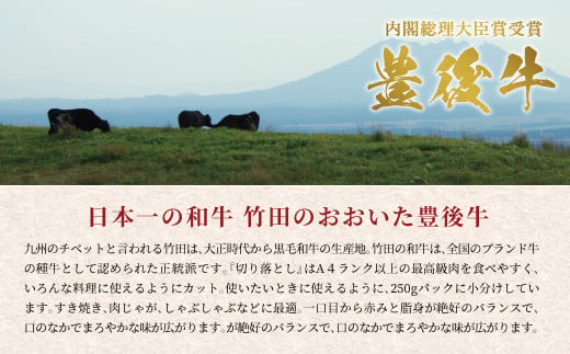 正統派黒毛和牛 おおいた豊後牛 切り落とし 500g 小分け