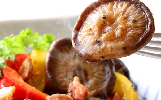 倧åçç£ ç¹éžã©ãã 200g ïŒä¹ŸããããïŒFT20