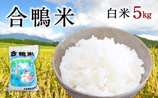 〈令和7年産〉合鴨米 白米 5kg【2025年10月上旬～2026年10月上旬発送予定】