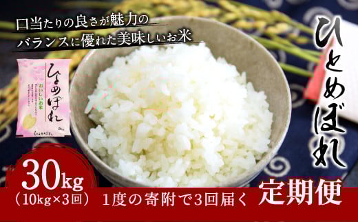 【3ヶ月定期便】 大分県産 ひとめぼれ 10kg×3回 計30kg
