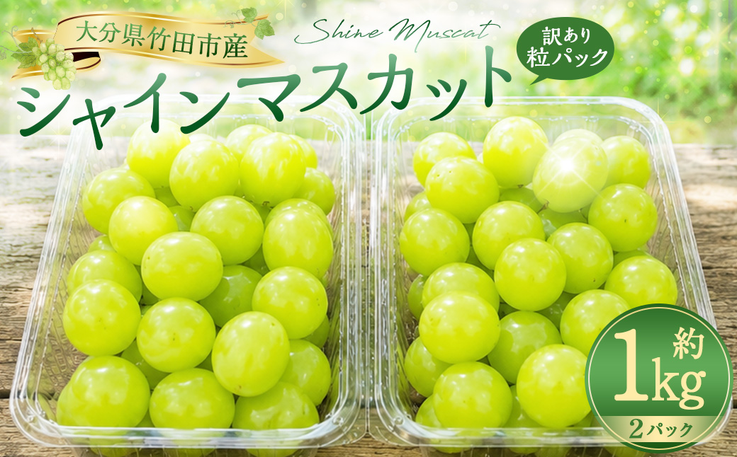 【数量限定】粒パック 訳あり シャインマスカット 約1kg （2パック） 【2026年8月下旬～11月上旬発送開始予定】