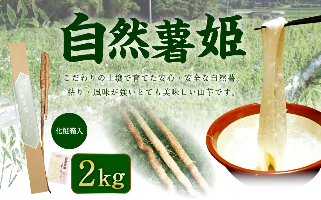 自然薯姫 （青果） 2kg