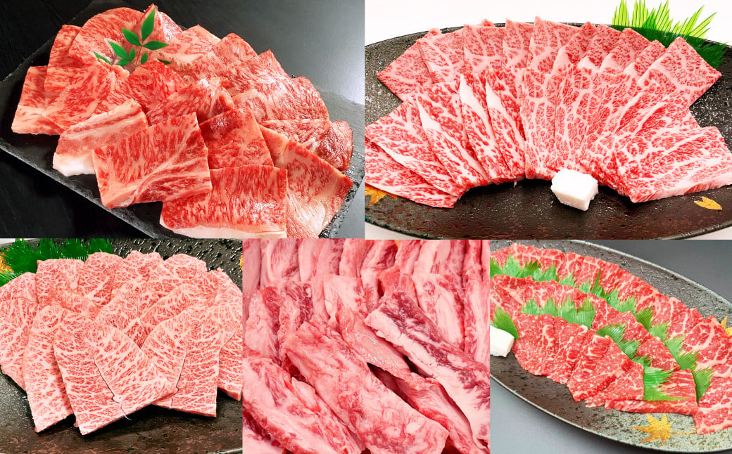 【5ヶ月定期便】毎月届く焼肉セット！おおいた和牛焼肉セット 計約4.2kg