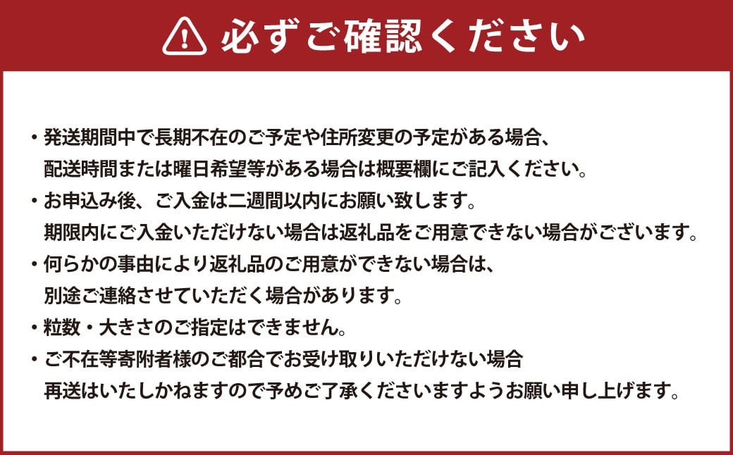 【数量限定】 粒パック 訳あり シャインマスカット （約500g） & BKシードレス （約500g） 計約1kg （各1パック） 【2026年8月下旬～11月上旬発送開始予定】