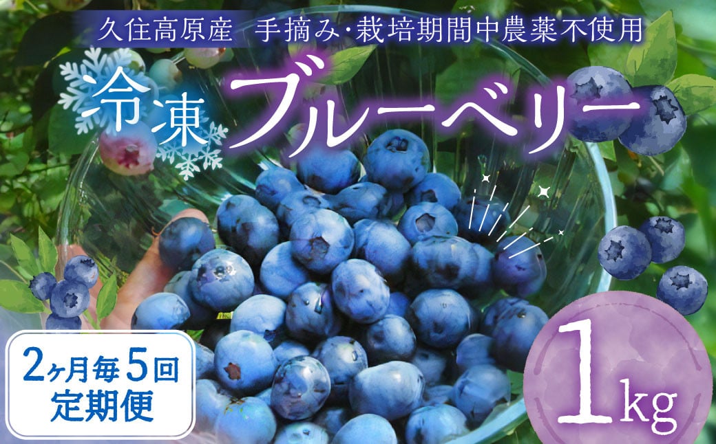 【2ヶ月毎5回定期便】大分県久住高原産 『手摘みブルーベリー』 冷凍ブルーベリー 1kg 計5kg