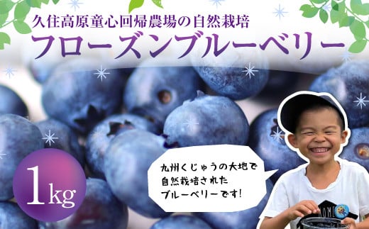 久住高原童心回帰農場の自然栽培 フローズン ブルーベリー 約1kg 冷凍【2026年7月下旬より発送開始】