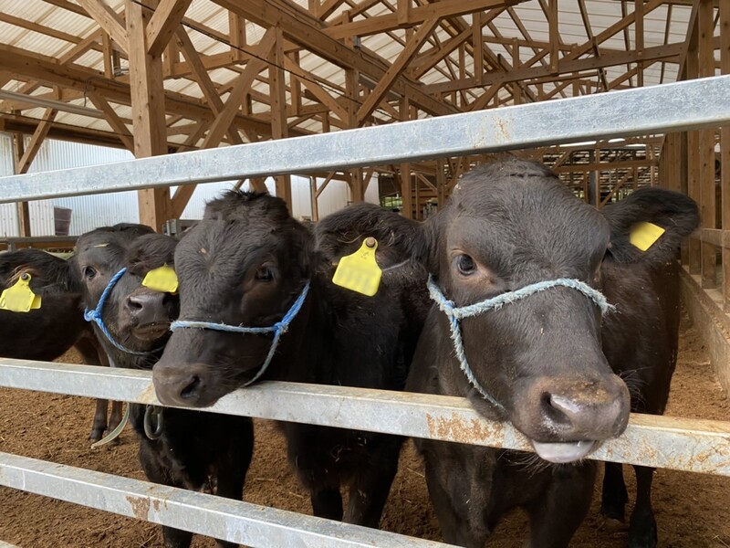 ②人材育成～たけたの未来を担う人材の育成及び確保に関する事業～