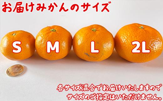 【訳あり】土山農園の温州みかん 屋根掛けハウス栽培 5kg＋傷み補償分200g 家庭用 （宮川早生と興津早生の混合）先行予約 柑橘類 フルーツ 12月 1月＜050-001＞