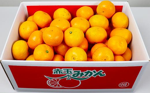 【訳あり】土山農園の温州みかん 屋根掛けハウス栽培 5kg＋傷み補償分200g 家庭用 （宮川早生と興津早生の混合）先行予約 柑橘類 フルーツ 12月 1月＜050-001＞