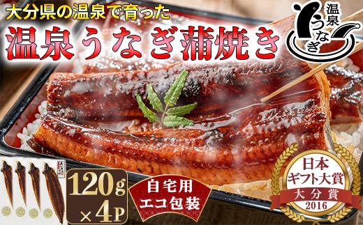 完全無投薬養殖！温泉うなぎ蒲焼 4尾（120gサイズ） 自宅用 エコ包装  ＜104-068＞