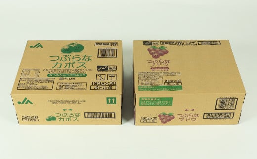 つぶらなカボス30本＋つぶらなブドウ30本（計60本・各1ケース）190g ／ つぶらな つぶらなカボス つぶらなブドウ ジュース 2ケース かぼすドリンク 清涼飲料水 人気 果汁飲料 かぼす ぶどう ぶどうジュース 飲料 60本 飲み比べ 詰めあわせ ギフト プレゼント セット 贈答 ＜131-204＞