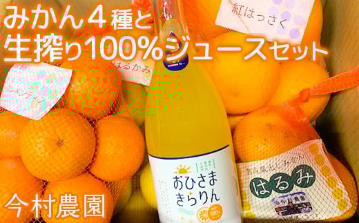 今村農園のみかん4種（計約8kg）とおひさまきらりん 生搾り100%ジュースセット 先行予約 2026年 2月発送 柑橘類 みかん ミカン フルーツ 食べ比べ ストレート ＜107-041_5＞