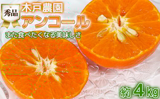 木戸農園のアンコール 約4kg（秀品） オレンジ みかん ミカン 柑橘類 フルーツ ＜113-003_5＞