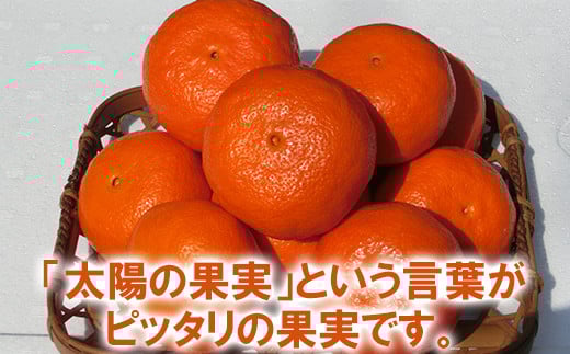 木戸農園のアンコール 約4kg（秀品） オレンジ みかん ミカン 柑橘類 フルーツ ＜113-003_5＞