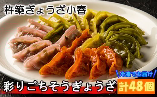 杵築ぎょうざ小春の彩りごちそうぎょうざ4種食べ比べセット（各12個 計48個）冷凍 餃子 人気 国産 ぎょうざ ギョーザ ＜152-003_5＞