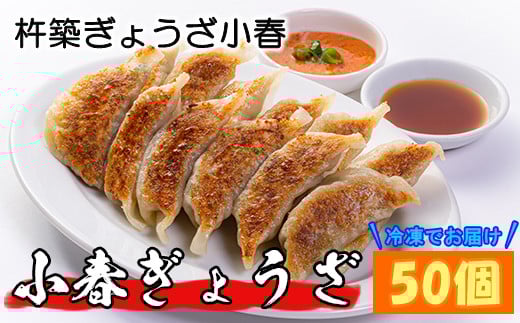 杵築ぎょうざ小春の小春ぎょうざ(スタンダード) 50個 冷凍 餃子 人気 国産 ぎょうざ ギョーザ ＜152-001_5＞