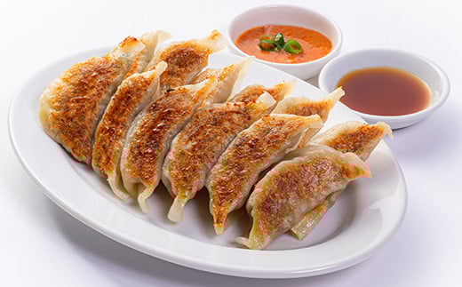 杵築ぎょうざ小春の青しそぎょうざ 40個 冷凍 餃子 人気 国産 ぎょうざ ギョーザ ＜152-002_5＞