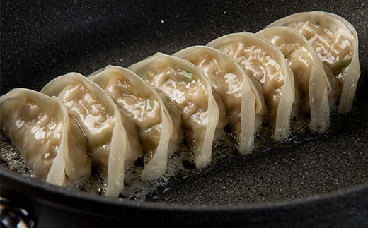 杵築ぎょうざ小春の青しそぎょうざ 40個 冷凍 餃子 人気 国産 ぎょうざ ギョーザ ＜152-002_5＞